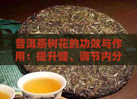 普洱茶树花的功效与作用：提升健、调节内分泌及抗氧化