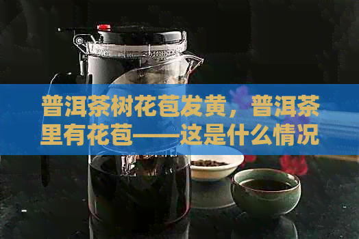 普洱茶树花苞发黄，普洱茶里有花苞——这是什么情况？