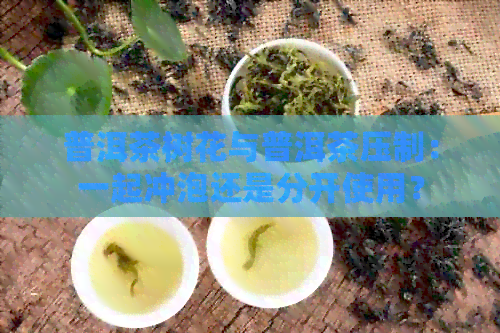 普洱茶树花与普洱茶压制：一起冲泡还是分开使用？