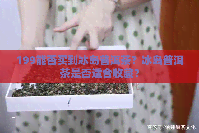 199能否买到冰岛普洱茶？冰岛普洱茶是否适合收藏？