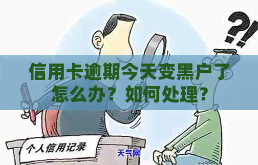 信用卡逾期今天变黑户了怎么办？如何处理？