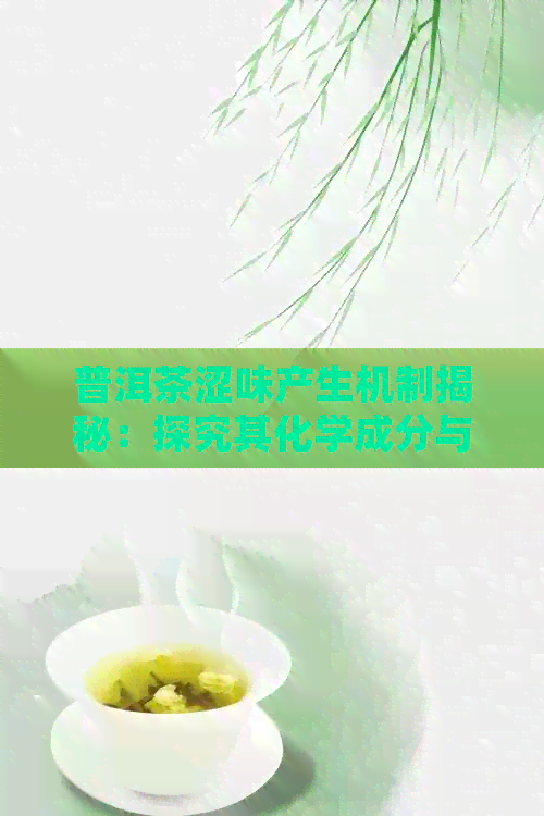 普洱茶涩味产生机制揭秘：探究其化学成分与品饮体验的关系