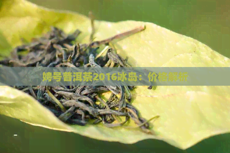 娉号普洱茶2016冰岛：价格解析