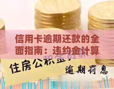 信用卡逾期还款的全面指南：违约金计算方法、影响及解决方案