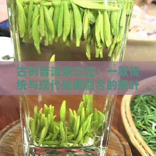 古树普洱茶三笠：一款传统与现代完美融合的茶叶艺术品