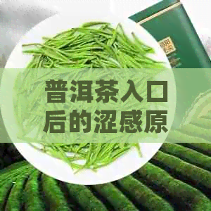 普洱茶入口后的涩感原因及如何缓解：了解涩感背后的科学原理和品饮技巧