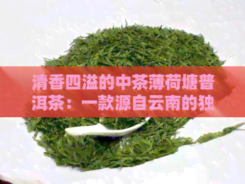 清香四溢的中茶薄荷塘普洱茶：一款源自云南的独特醇厚口感体验