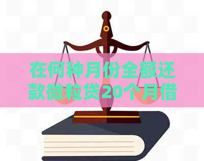 在何种月份全额还款微粒贷20个月借款最为经济？