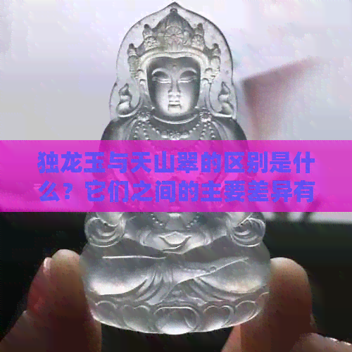 独龙玉与天山翠的区别是什么？它们之间的主要差异有哪些？