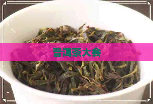 普洱茶大会