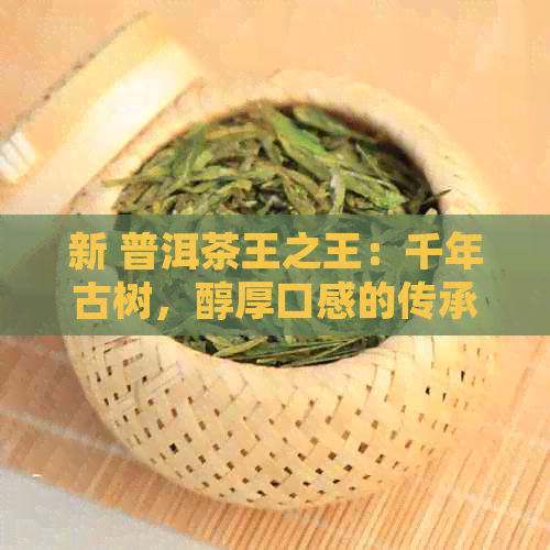 新 普洱茶王之王：千年古树，醇厚口感的传承