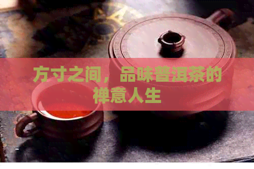 方寸之间，品味普洱茶的禅意人生