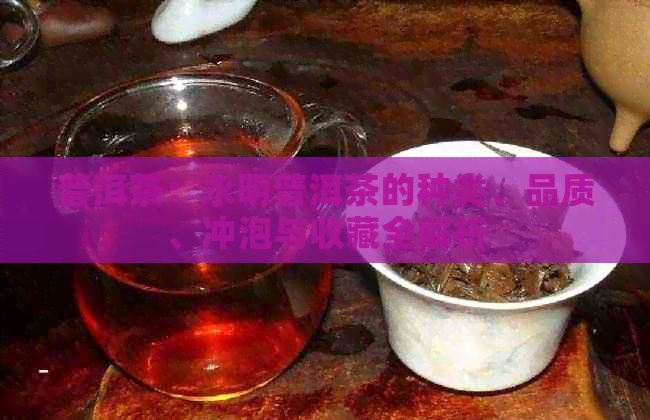 普洱茶：永明普洱茶的种类、品质、冲泡与收藏全解析