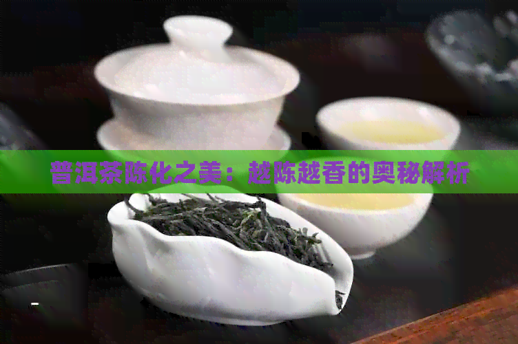 普洱茶陈化之美：越陈越香的奥秘解析