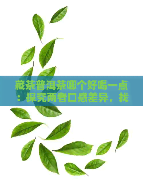 藏茶普洱茶哪个好喝一点：探究两者口感差异，找出选择