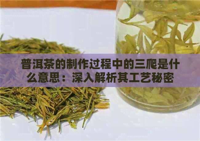 普洱茶的制作过程中的三爬是什么意思：深入解析其工艺秘密