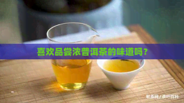 喜欢品尝浓普洱茶的味道吗？