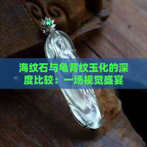 海纹石与龟背纹玉化的深度比较：一场视觉盛宴