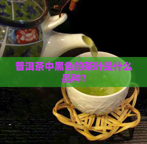 普洱茶中黑色的茶叶是什么品种？