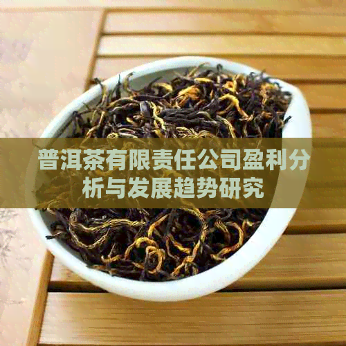 普洱茶有限责任公司盈利分析与发展趋势研究