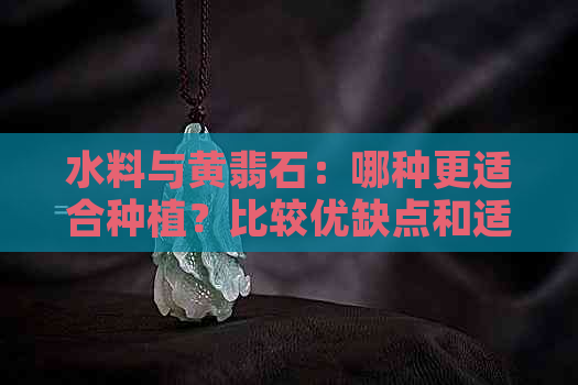 水料与黄翡石：哪种更适合种植？比较优缺点和适用场景