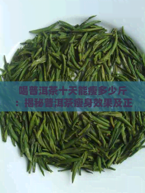 喝普洱茶十天能瘦多少斤：揭秘普洱茶瘦身效果及正确饮用方法