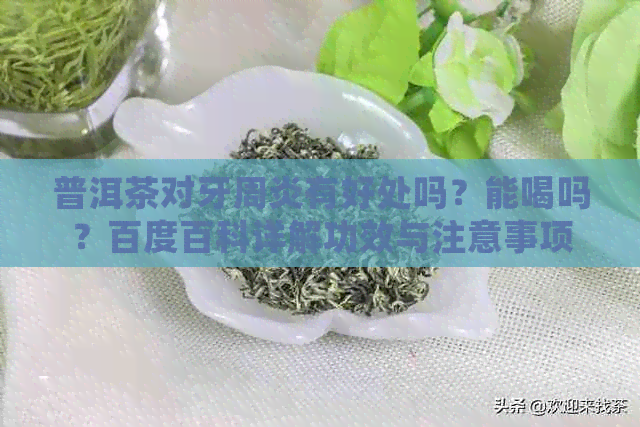 普洱茶对牙周炎有好处吗？能喝吗？百度百科详解功效与注意事项