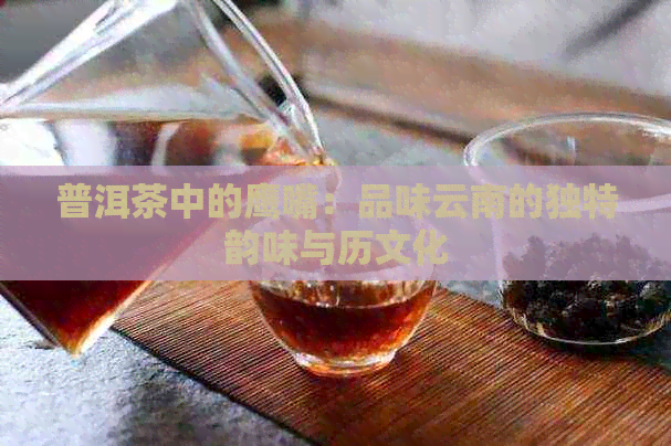 普洱茶中的鹰嘴：品味云南的独特韵味与历文化