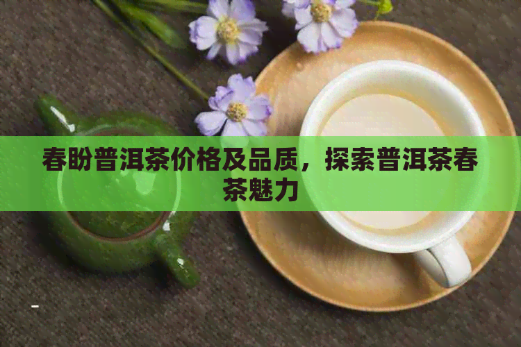 春盼普洱茶价格及品质，探索普洱茶春茶魅力