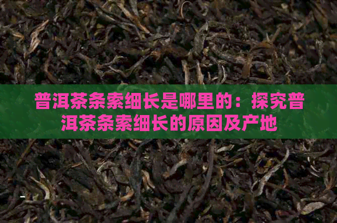 普洱茶条索细长是哪里的：探究普洱茶条索细长的原因及产地