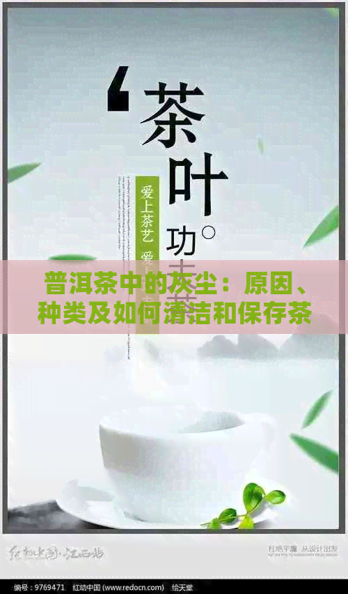 普洱茶中的灰尘：原因、种类及如何清洁和保存茶叶