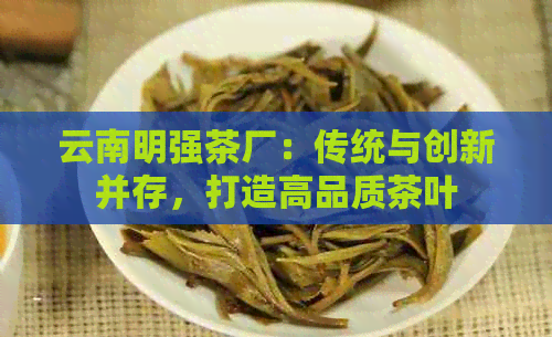 云南明强茶厂：传统与创新并存，打造高品质茶叶