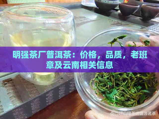 明强茶厂普洱茶：价格，品质，老班章及云南相关信息