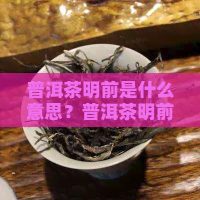 普洱茶明前是什么意思？普洱茶明前茶特点与讲究。