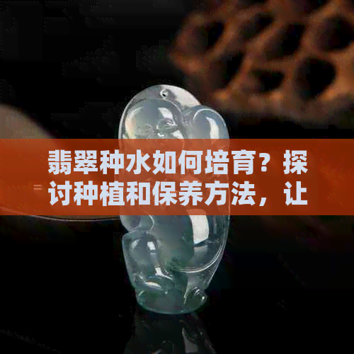 翡翠种水如何培育？探讨种植和保养方法，让你的翡翠更绿、更美！