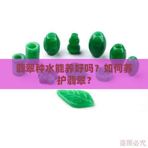 翡翠种水能养好吗？如何养护翡翠？