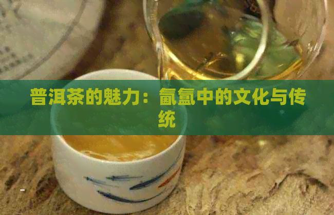 普洱茶的魅力：氤氲中的文化与传统