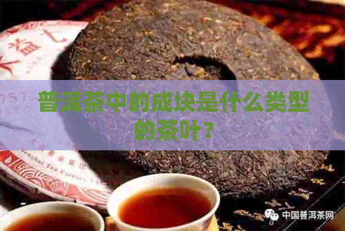 普洱茶中的成块是什么类型的茶叶？