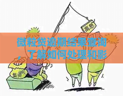 微粒贷逾期结果查询，了解如何处理和影响。