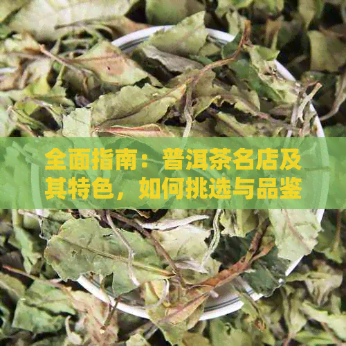 全面指南：普洱茶名店及其特色，如何挑选与品鉴普洱茶的优质店铺