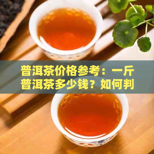 普洱茶价格参考：一斤普洱茶多少钱？如何判断普洱茶的价格？