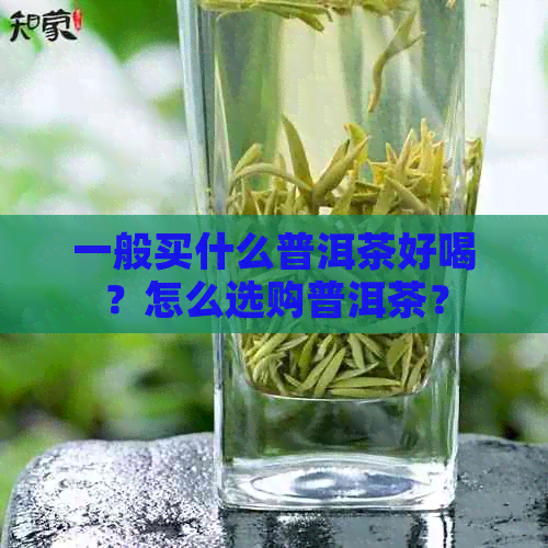 一般买什么普洱茶好喝？怎么选购普洱茶？