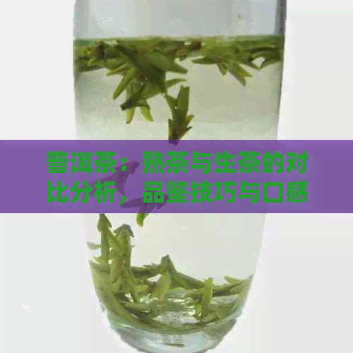 普洱茶：熟茶与生茶的对比分析，品鉴技巧与口感体验