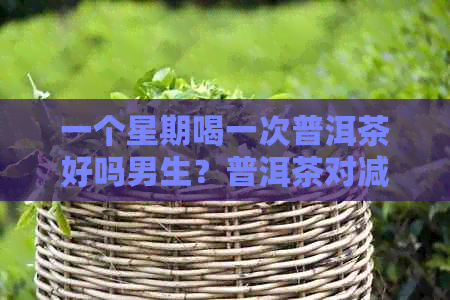 一个星期喝一次普洱茶好吗男生？普洱茶对减肥有效吗？