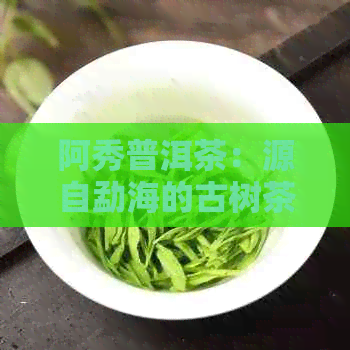 阿秀普洱茶：源自勐海的古树茶魅力与传承