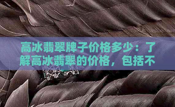 高冰翡翠牌子价格多少：了解高冰翡翠的价格，包括不同和重量的价格。