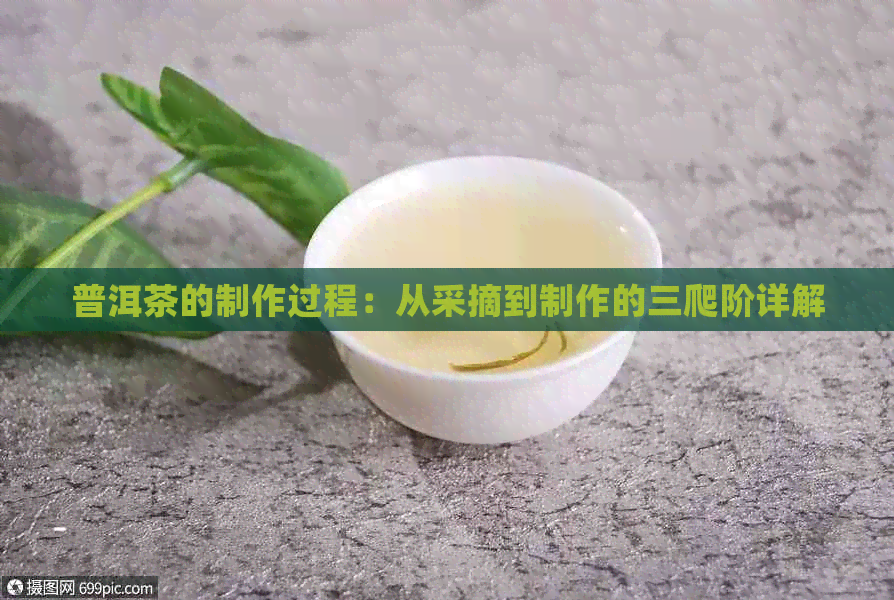 普洱茶的制作过程：从采摘到制作的三爬阶详解