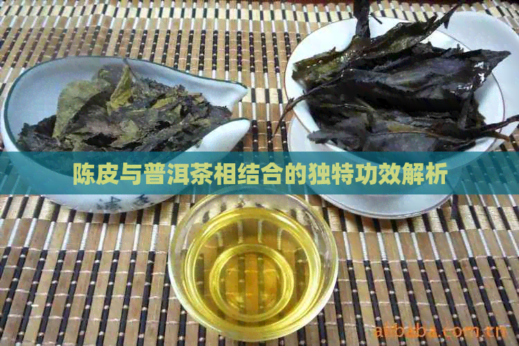 陈皮与普洱茶相结合的独特功效解析