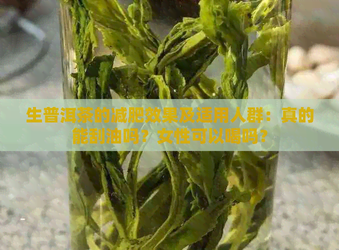 生普洱茶的减肥效果及适用人群：真的能刮油吗？女性可以喝吗？