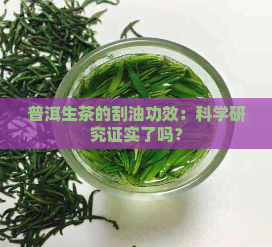 普洱生茶的刮油功效：科学研究证实了吗？